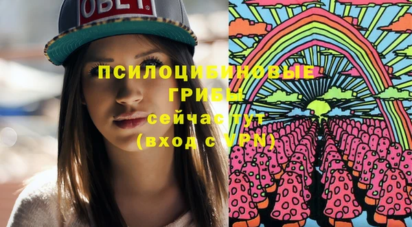 прущий лед Аркадак