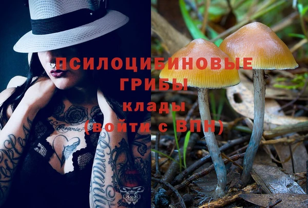 каннабис Арсеньев