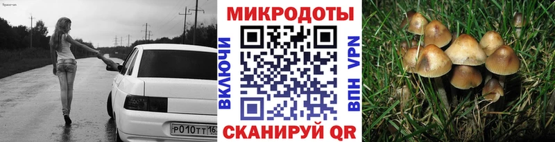 Галлюциногенные грибы прущие грибы Белый