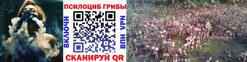 это какой сайт  наркота  Белый  Галлюциногенные грибы Magic Shrooms 